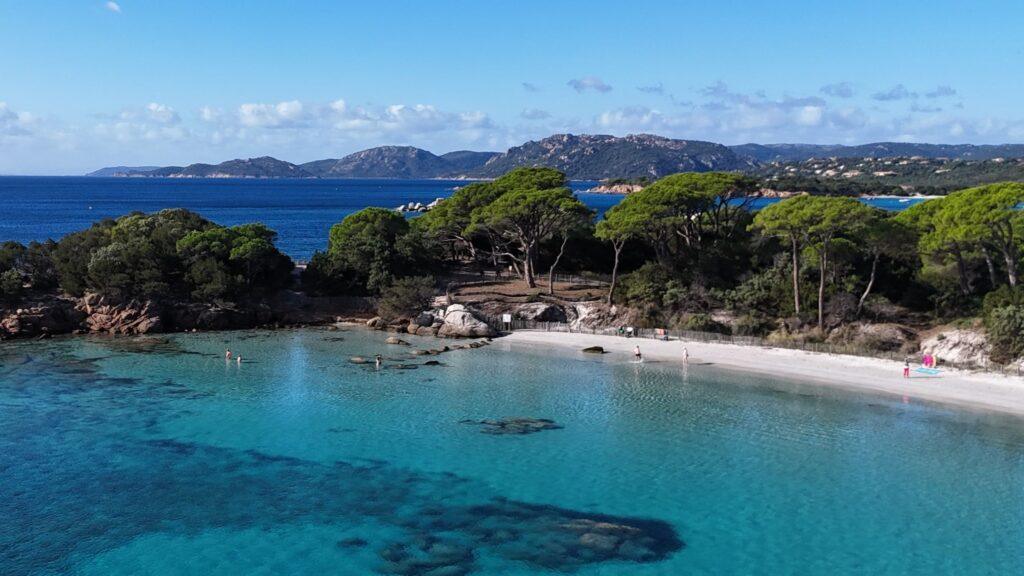 Klares türkisfarbenes Wasser und malerische Küste mit Pinienboskett, ideal für Entspannung.