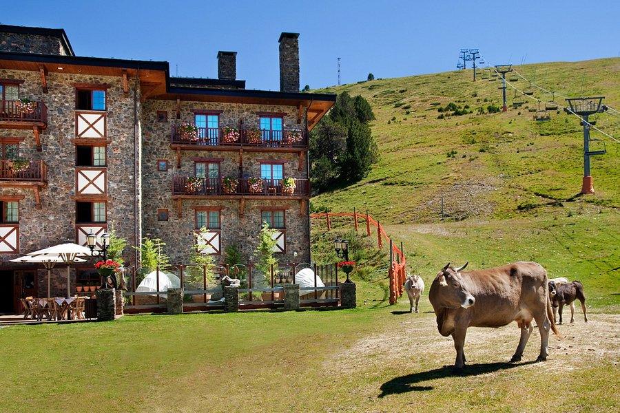 Charmantes Berghotel mit blühenden Balkonen und einer friedlichen Kuh auf der Wiese. Ideal für alpine Abenteuer.