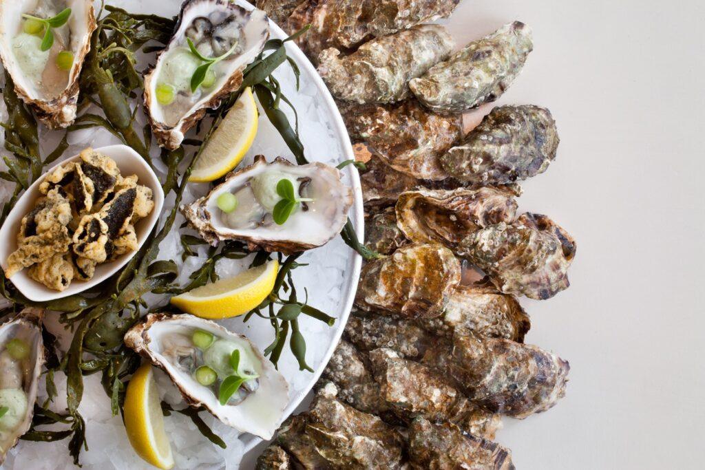Austernplatte mit Zitronenscheiben und Algen dekoriert.