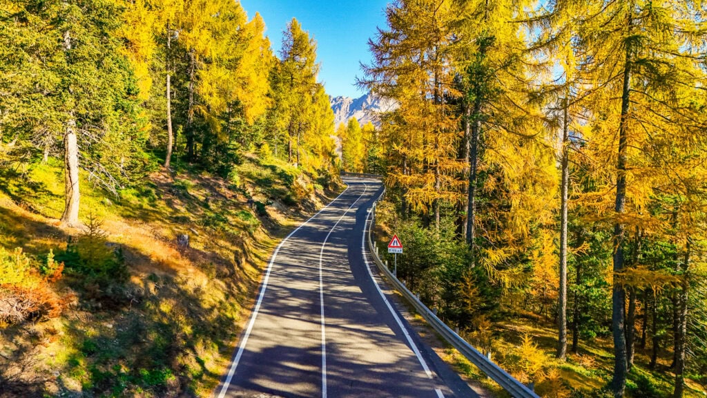 Asphaltierte Straße durch leuchtend goldenen Lärchenwald im Herbst.