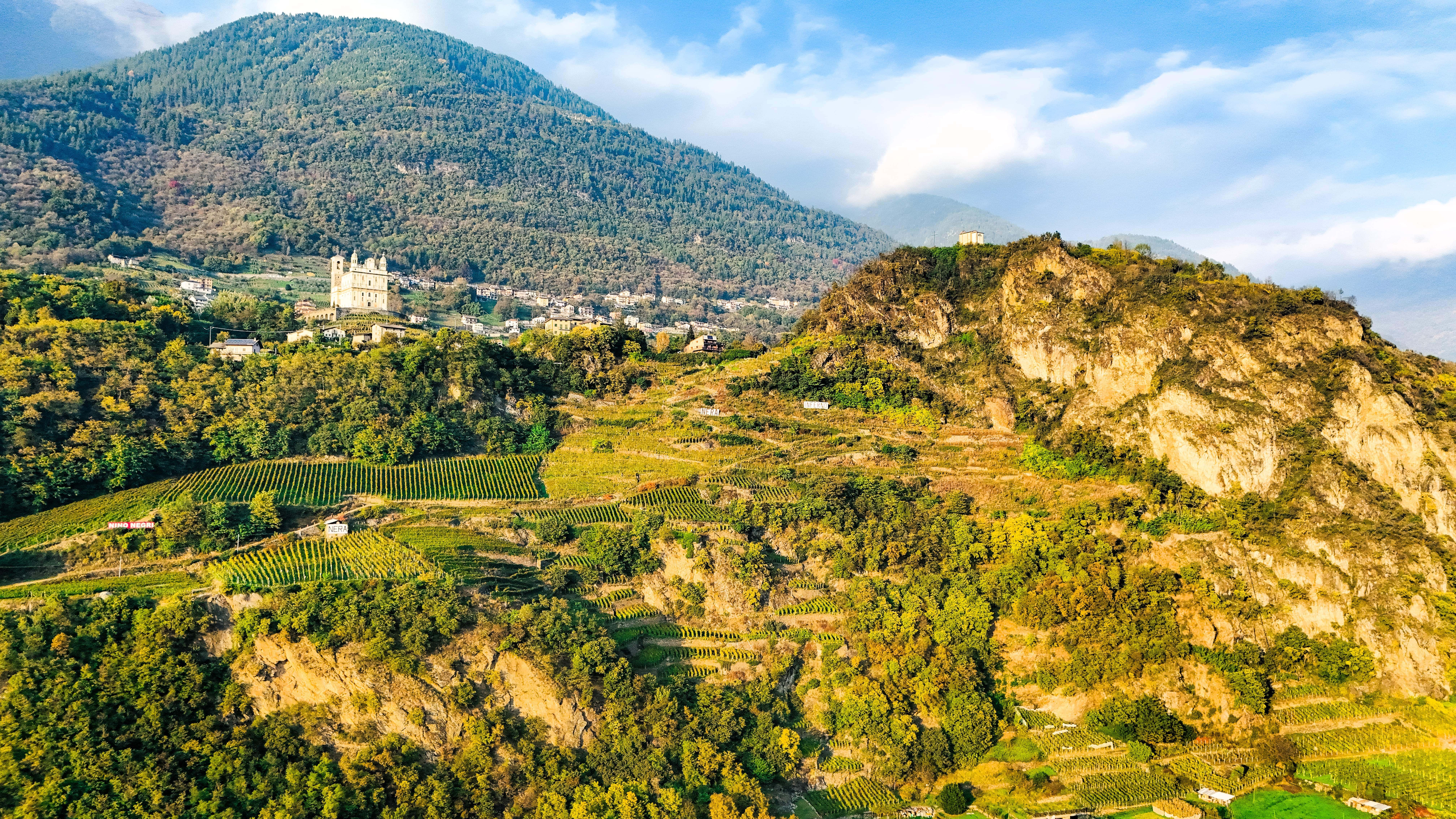 Hügelig bewachsene Weinberge unterhalb der majestätischen Alpen mit einem historischen Schloss im Hintergrund.