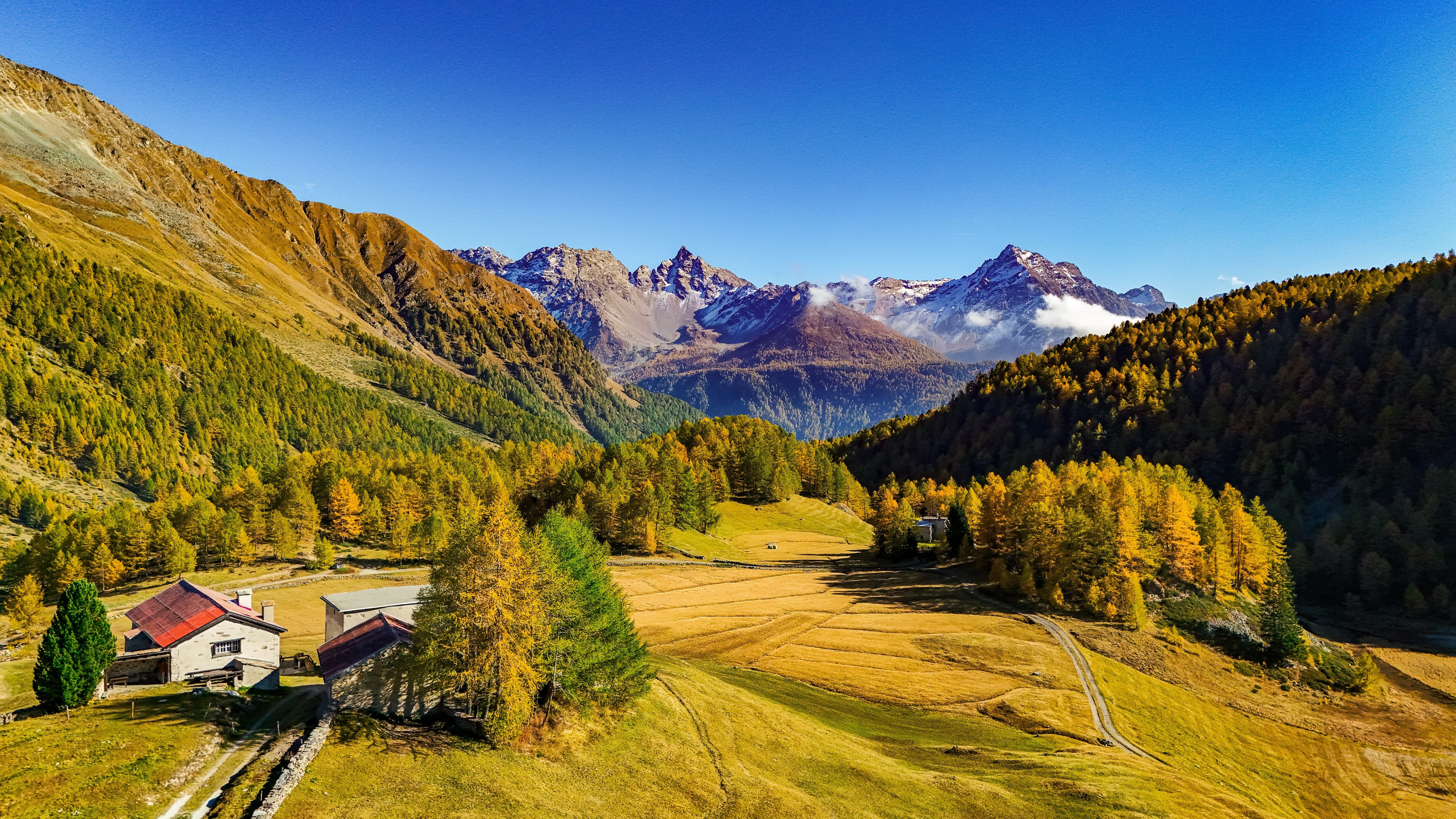 Berglandschaft in den Alpen mit bunten Herbstbäumen und klarer, blauer Himmel.