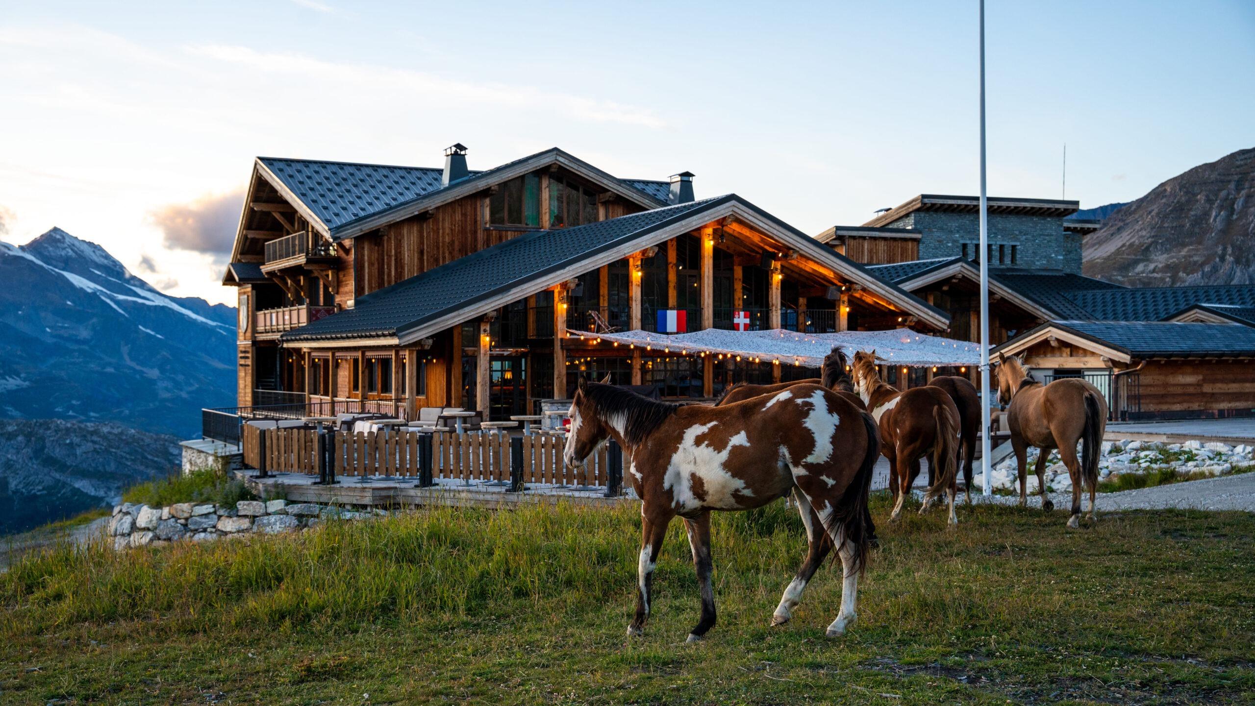 Almhütte in den Alpen bei Sonnenuntergang, mit Pferden im Vordergrund.