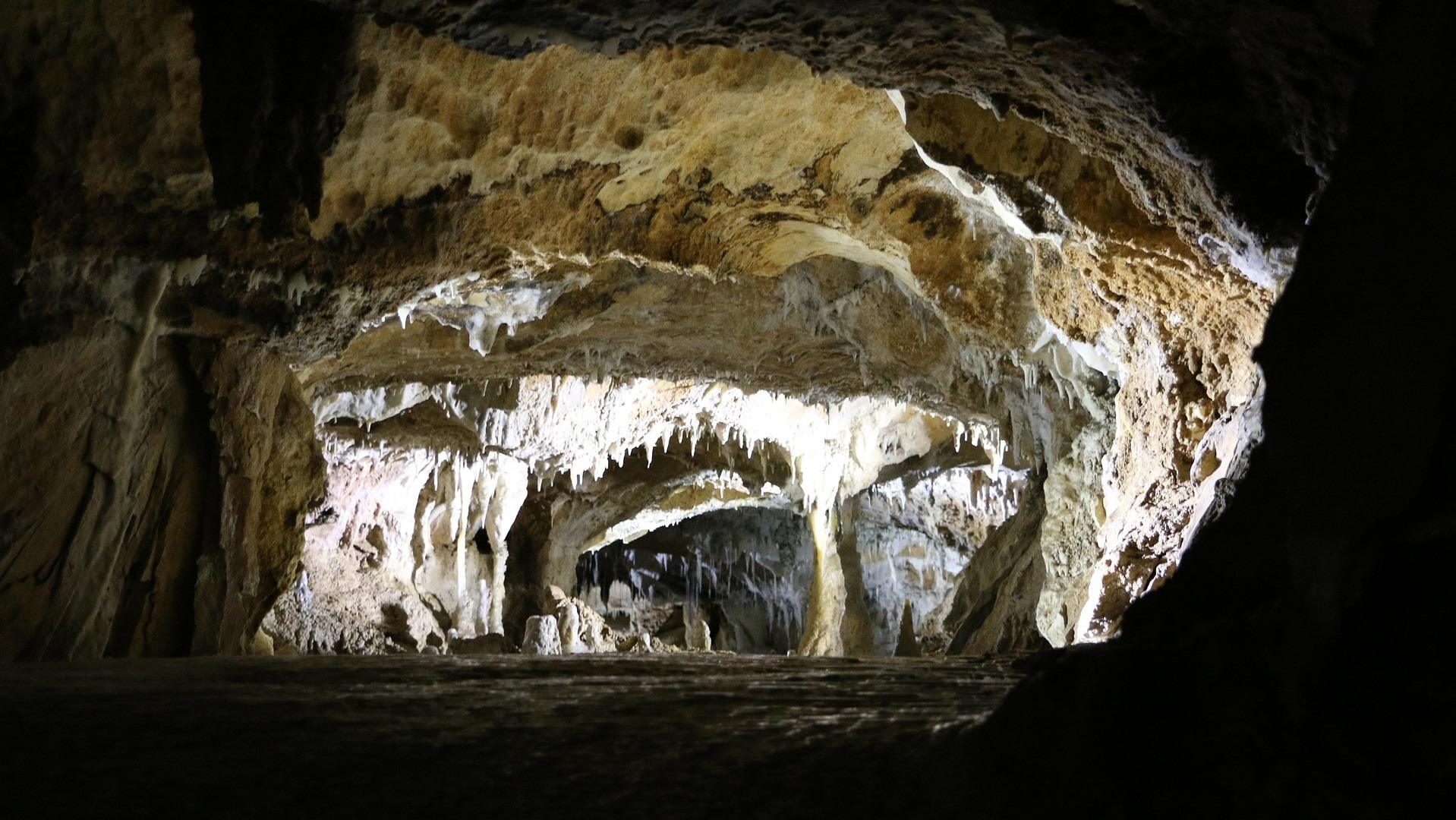 Ardennen Tour: Beleuchtete Stalaktiten und Felsformationen in einer der Grotten von Han.